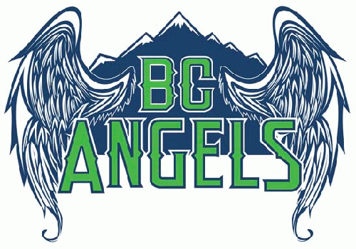 bc angels 2012-pres primary logo iron on transfers for T-shirts
